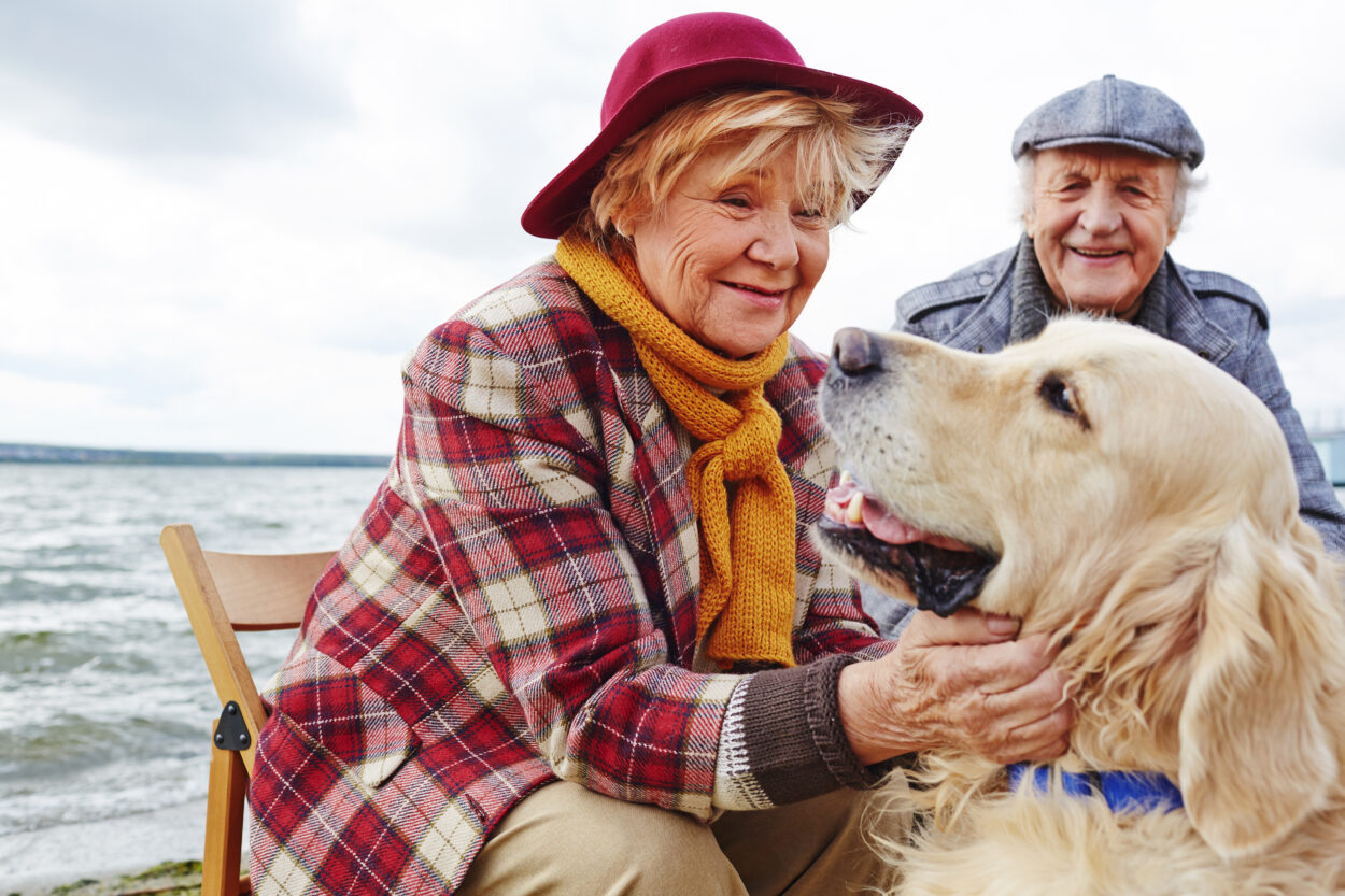 Terza età e animali domestici: suggerimenti e benefici