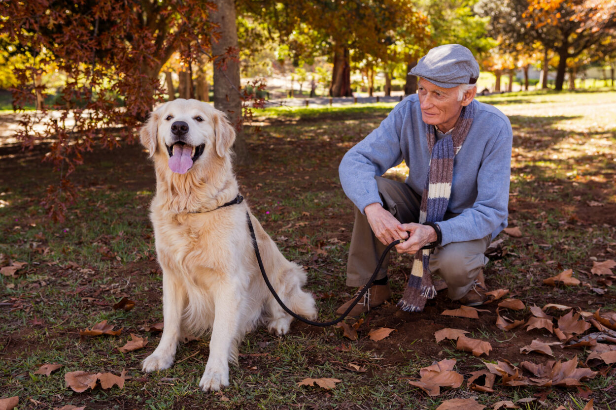 Come i cani possono migliorare la qualità di vita degli anziani