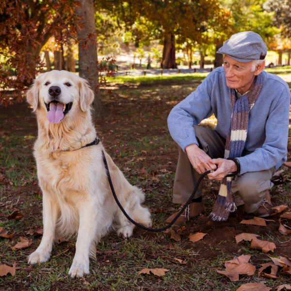 Come i cani possono migliorare la qualità di vita degli anziani